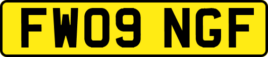 FW09NGF