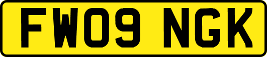 FW09NGK