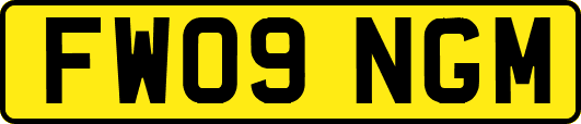 FW09NGM