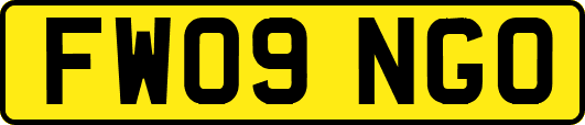 FW09NGO