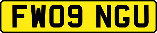 FW09NGU