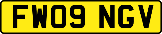 FW09NGV