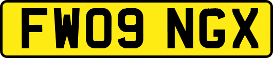 FW09NGX