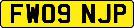 FW09NJP