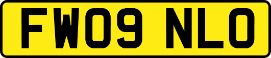 FW09NLO