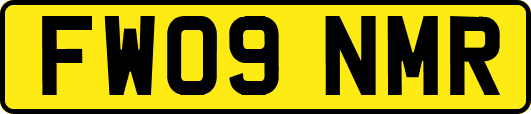 FW09NMR