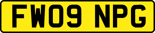 FW09NPG