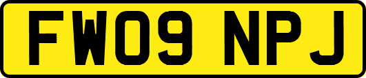 FW09NPJ