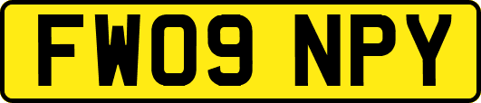 FW09NPY