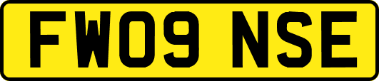 FW09NSE