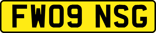 FW09NSG