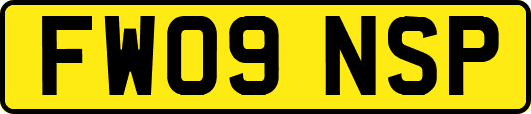 FW09NSP