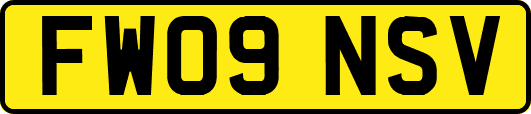 FW09NSV