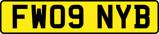 FW09NYB