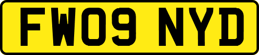 FW09NYD