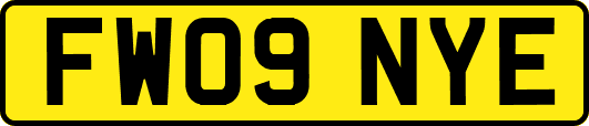 FW09NYE