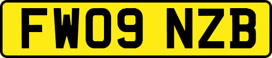 FW09NZB