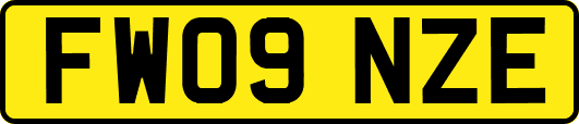 FW09NZE