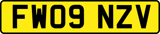 FW09NZV