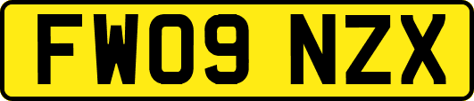 FW09NZX