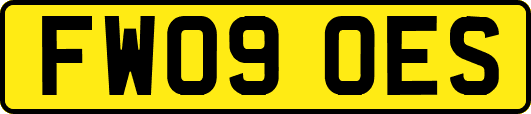 FW09OES
