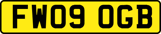 FW09OGB