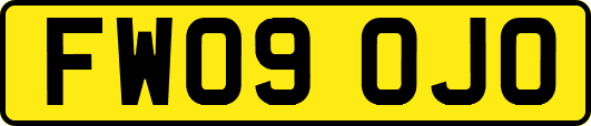 FW09OJO