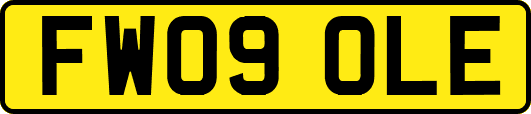 FW09OLE
