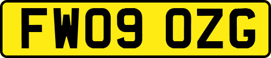 FW09OZG