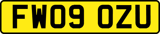 FW09OZU
