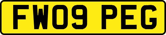 FW09PEG