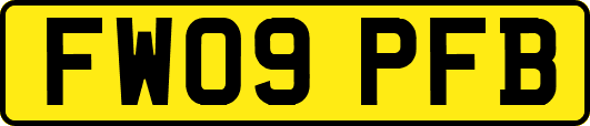 FW09PFB