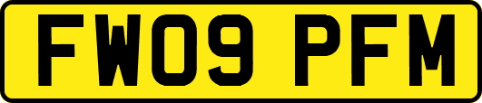FW09PFM