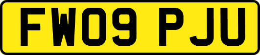 FW09PJU