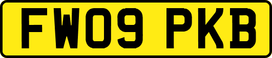 FW09PKB