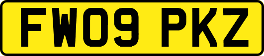 FW09PKZ