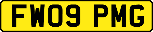 FW09PMG