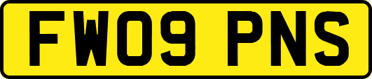 FW09PNS