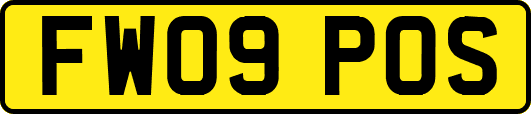 FW09POS
