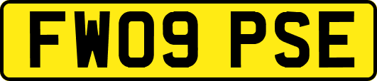 FW09PSE