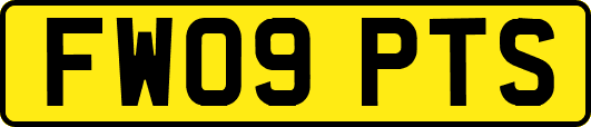 FW09PTS