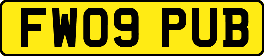 FW09PUB