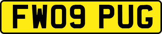 FW09PUG