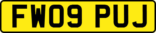 FW09PUJ