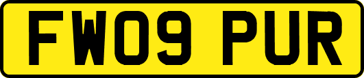 FW09PUR