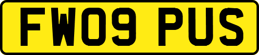 FW09PUS