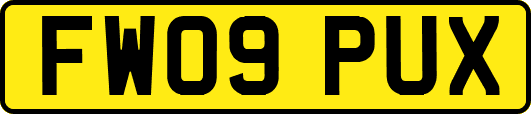 FW09PUX