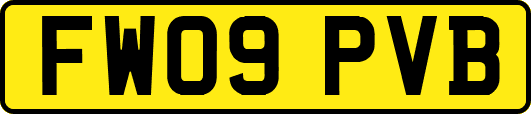 FW09PVB