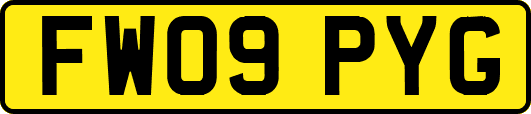 FW09PYG