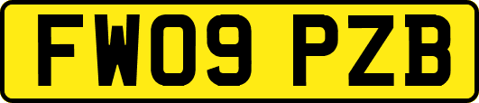 FW09PZB